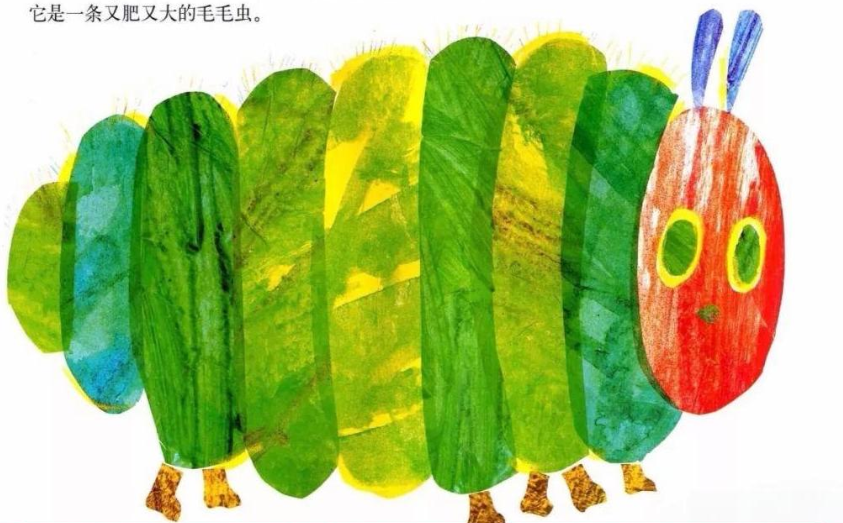 毛毛虫的酷蝶蜕变之旅