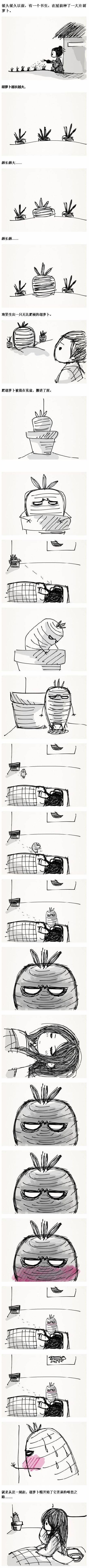 胡萝卜1.jpg